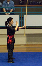 Xia Quan Tai Chi Kung Fu Nederland Rotterdam Traditional South style Kung Fu stick